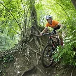 Vakantiebungalow In Het Limburgse Heuvelland * 심펠벨트