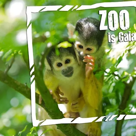 Vakantiebungalow In Het Limburgse Heuvelland Дом отдыха