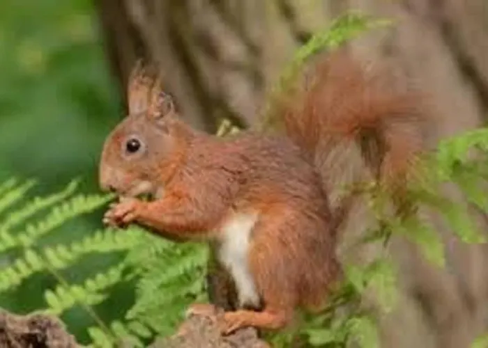 Vakantiebungalow In Het Limburgse Heuvelland Симпелвелд