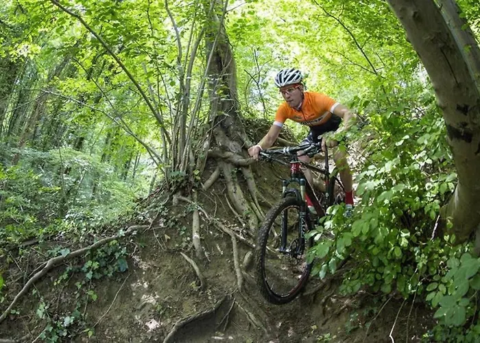 Vakantiebungalow In Het Limburgse Heuvelland * Симпелвелд