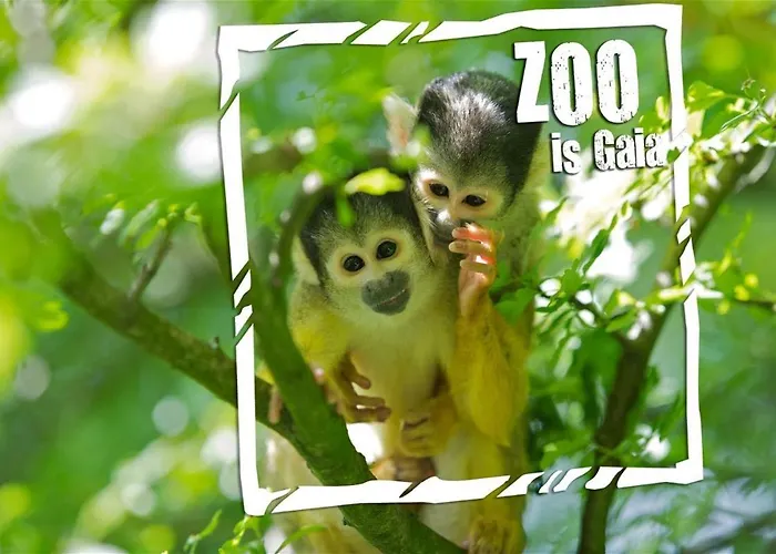 Vakantiebungalow In Het Limburgse Heuvelland Дом отдыха